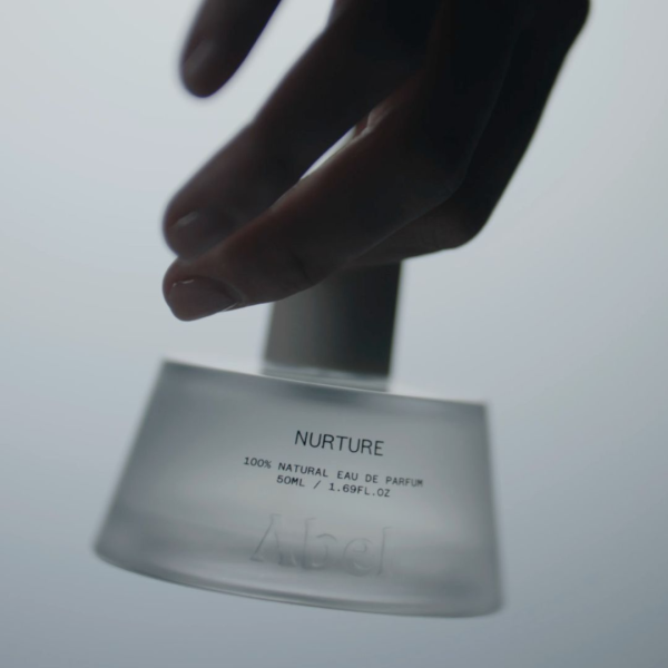 Abel Nurture Supplementary